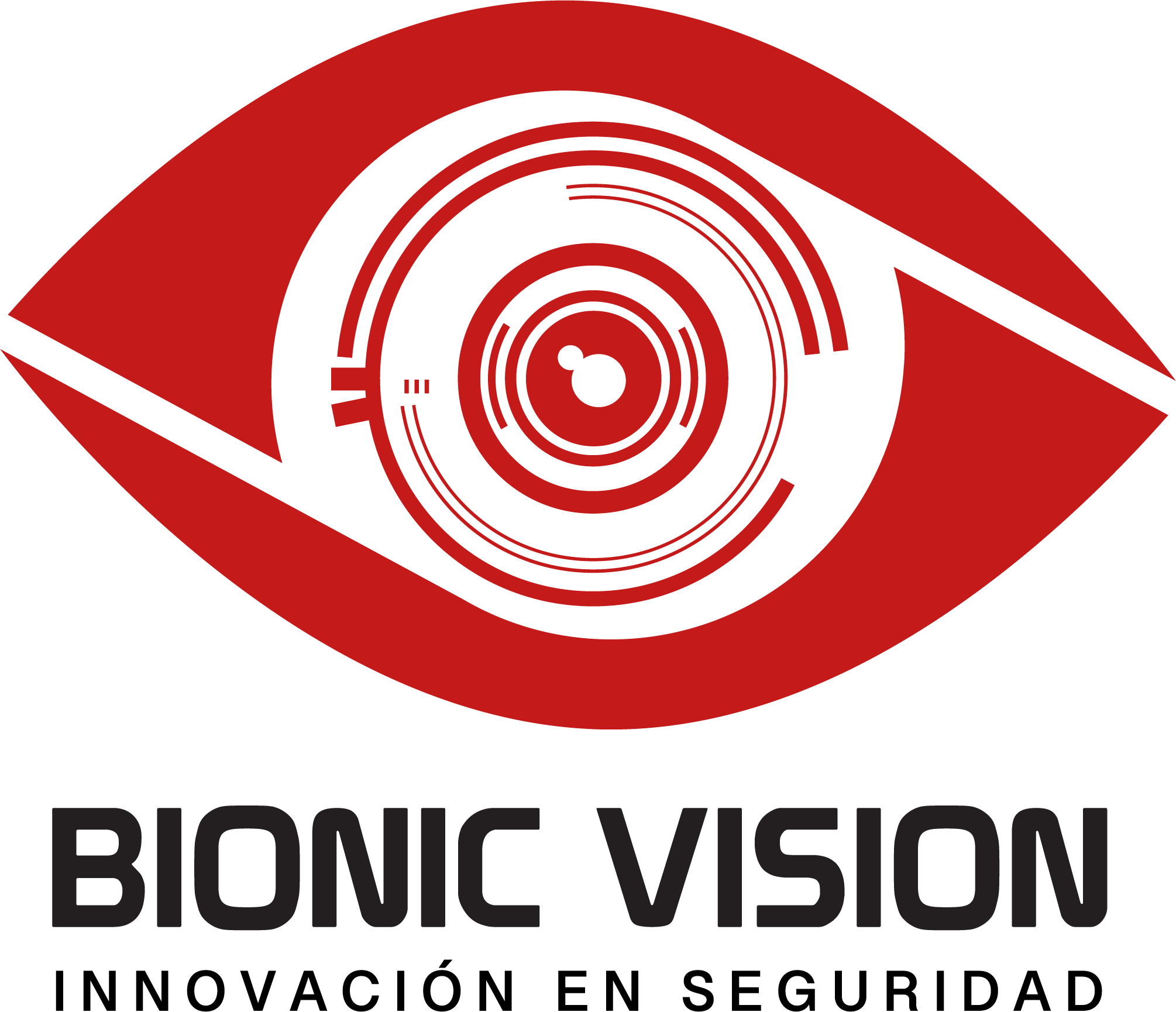 Bionic Vision